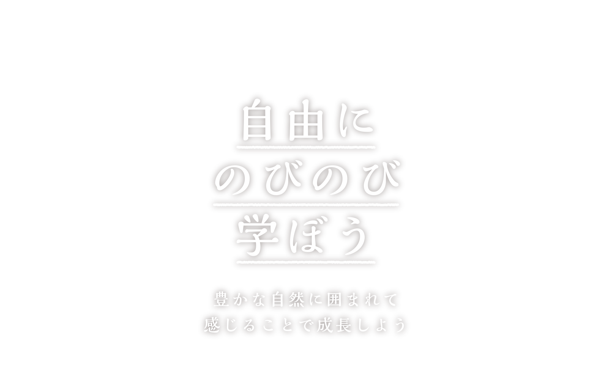 自由にのびのび学ぼう