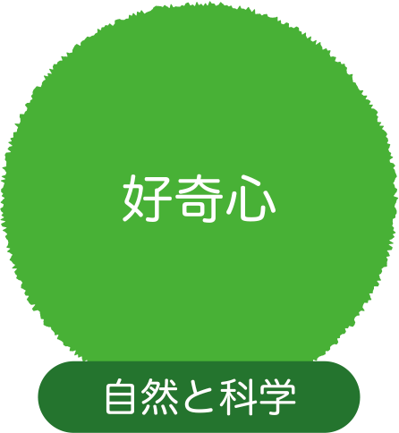 好奇心 自然と科学　